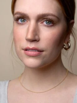 WINT -Endro Cosmetiques 01 EYES WINT CHESTNUT