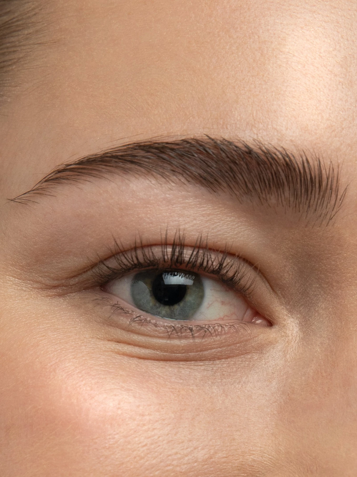 FROH 17 FROH - Image 15