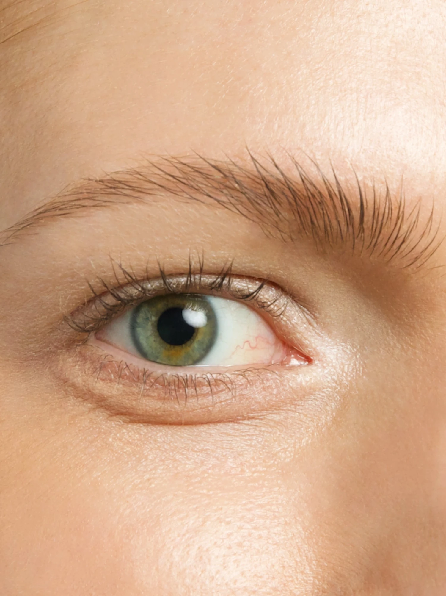 FROH 13 FROH - Image 11