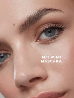 WINT -Endro Cosmetiques UG WINT NACHHER 988x1319 1