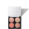 THE LOVER -Endro Cosmetiques UG IMBE FACE Palette PS 01 RGB L3 the lover 988x1319px