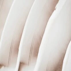 Trio De Cremes Visage -Endro Cosmetiques trio de cremes visage hydratantematifiantenourrissante endro cosmetiques creme visage 244976